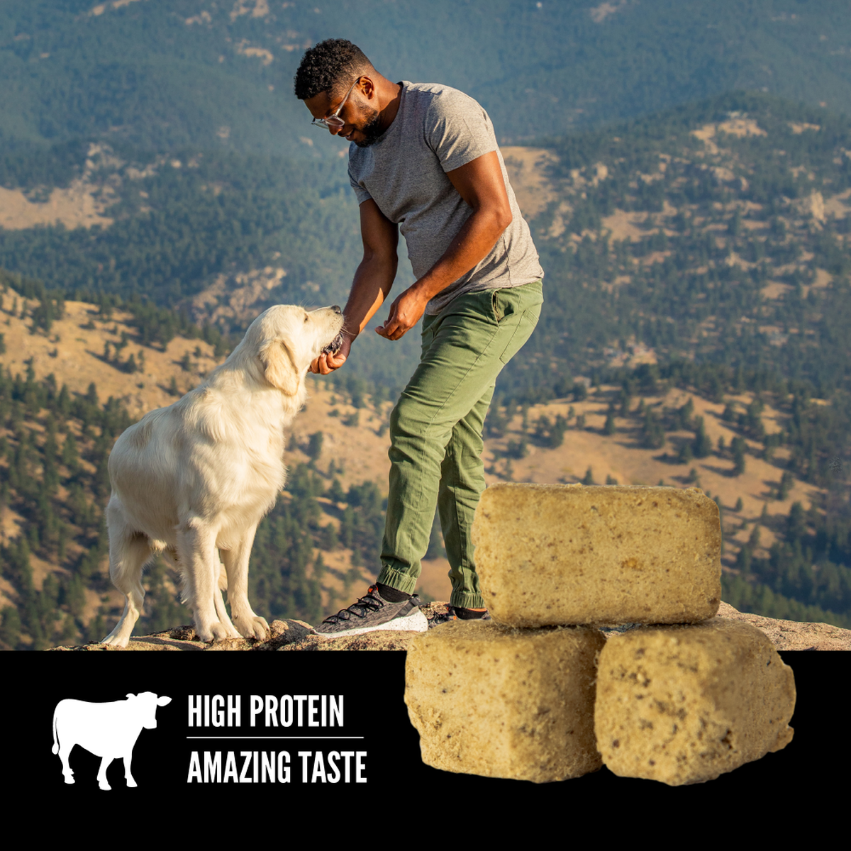 True source top dog food petsense